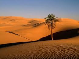 woestijn.jpg